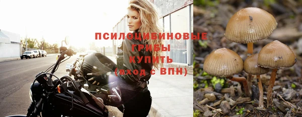 ГАЛЛЮЦИНОГЕННЫЕ ГРИБЫ Волоколамск